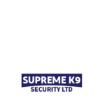 Transparent logo white-26